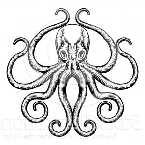 300x300 Octopus Illustration Drawing Engraving Ink Line Lazttweet