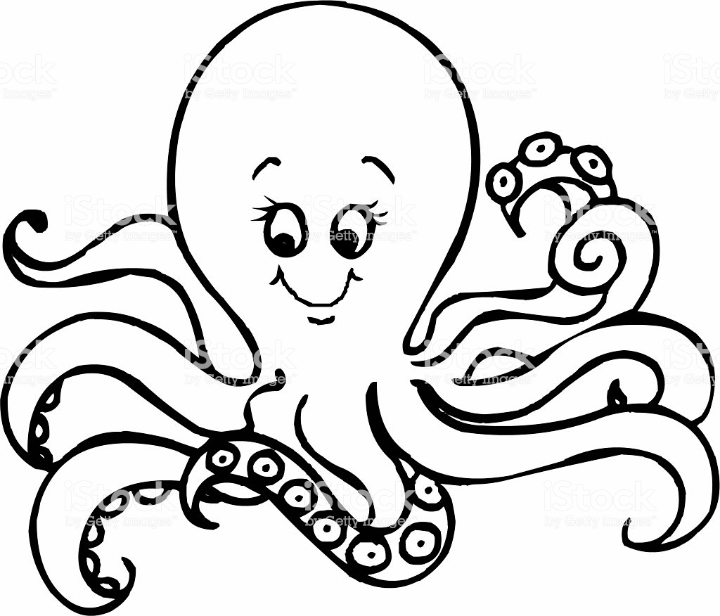 1024x876 Huge Collection Of 'line Drawing Octopus' Download More Than