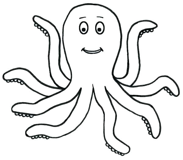 600x527 Octopus Outline Octopus For Coloring