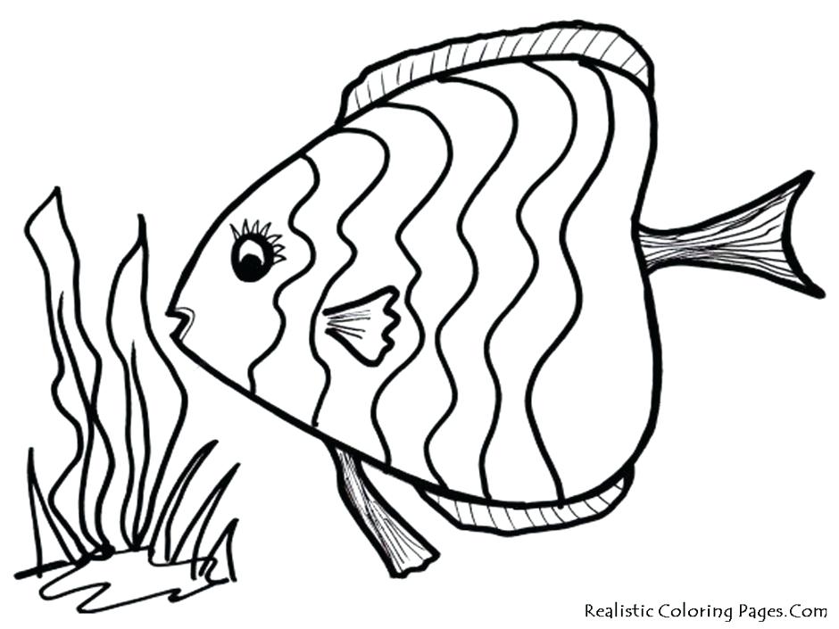 940x705 Octopus Rainbow Fish Pencil And In Color Bowl Outline Clipart