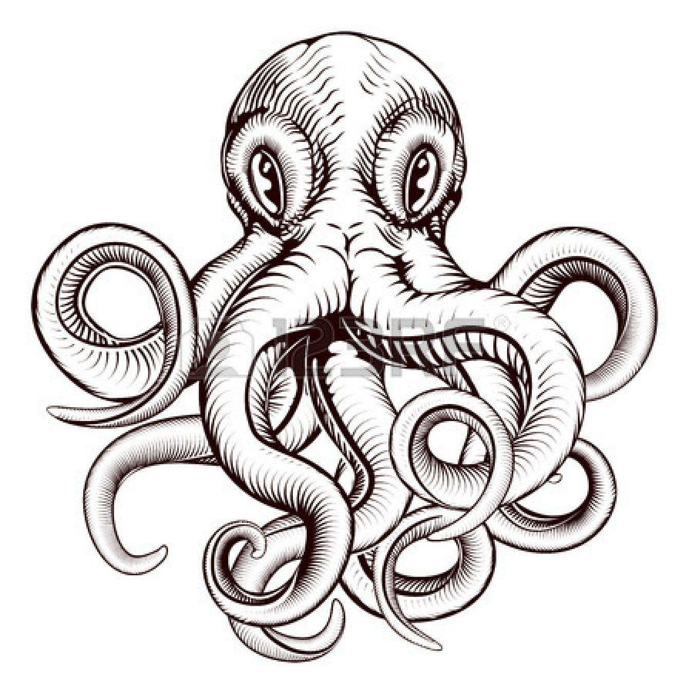 Octopus Line Drawing Free download on ClipArtMag