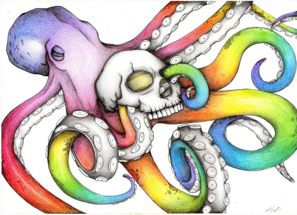 1024x741 Rainbow Octopus Color Pencil Drawing