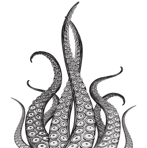 478x480 Drawing Wall Tattoo Transparent Png Clipart Free Download