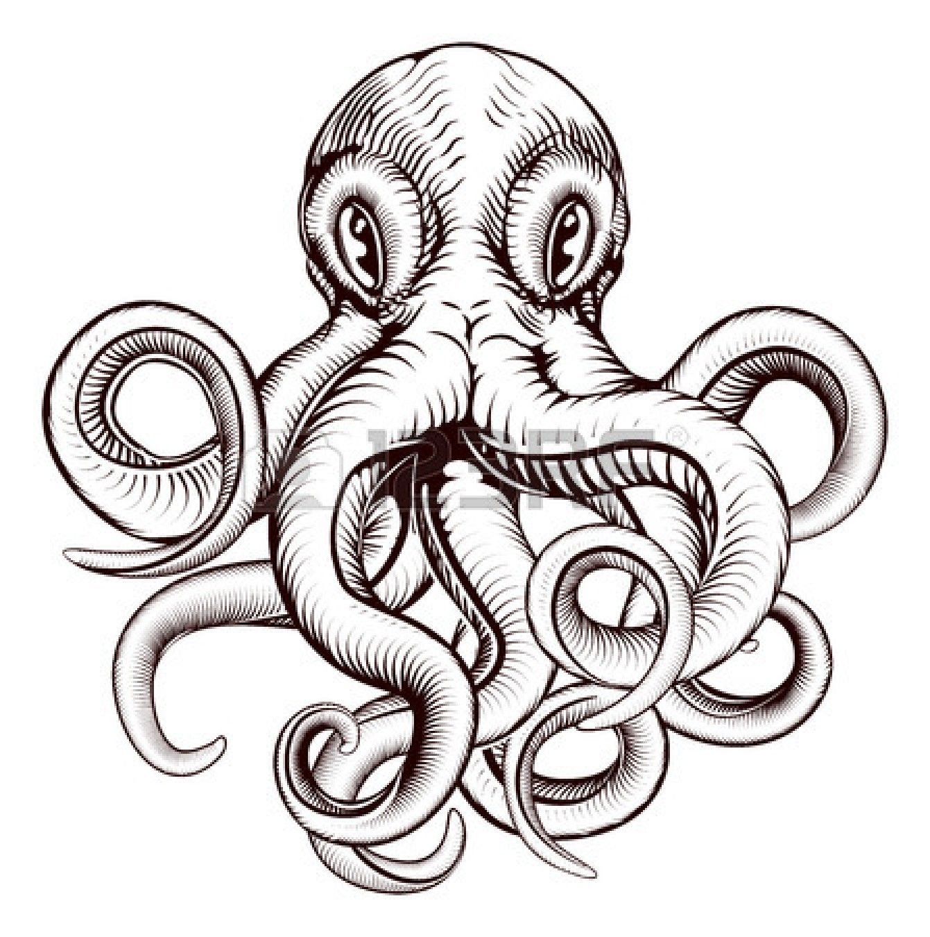 1341x1350 Stock Photo Paper Ideas Octopus Illustration, Octopus Images