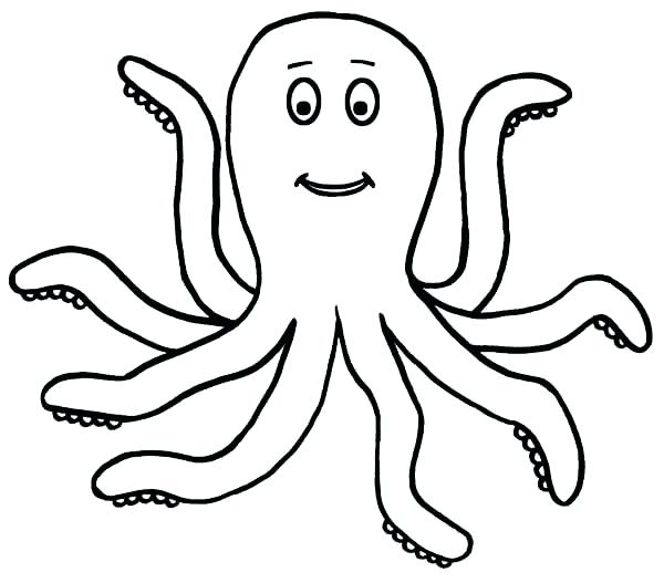 600x527 How To Draw A Realistic Octopus