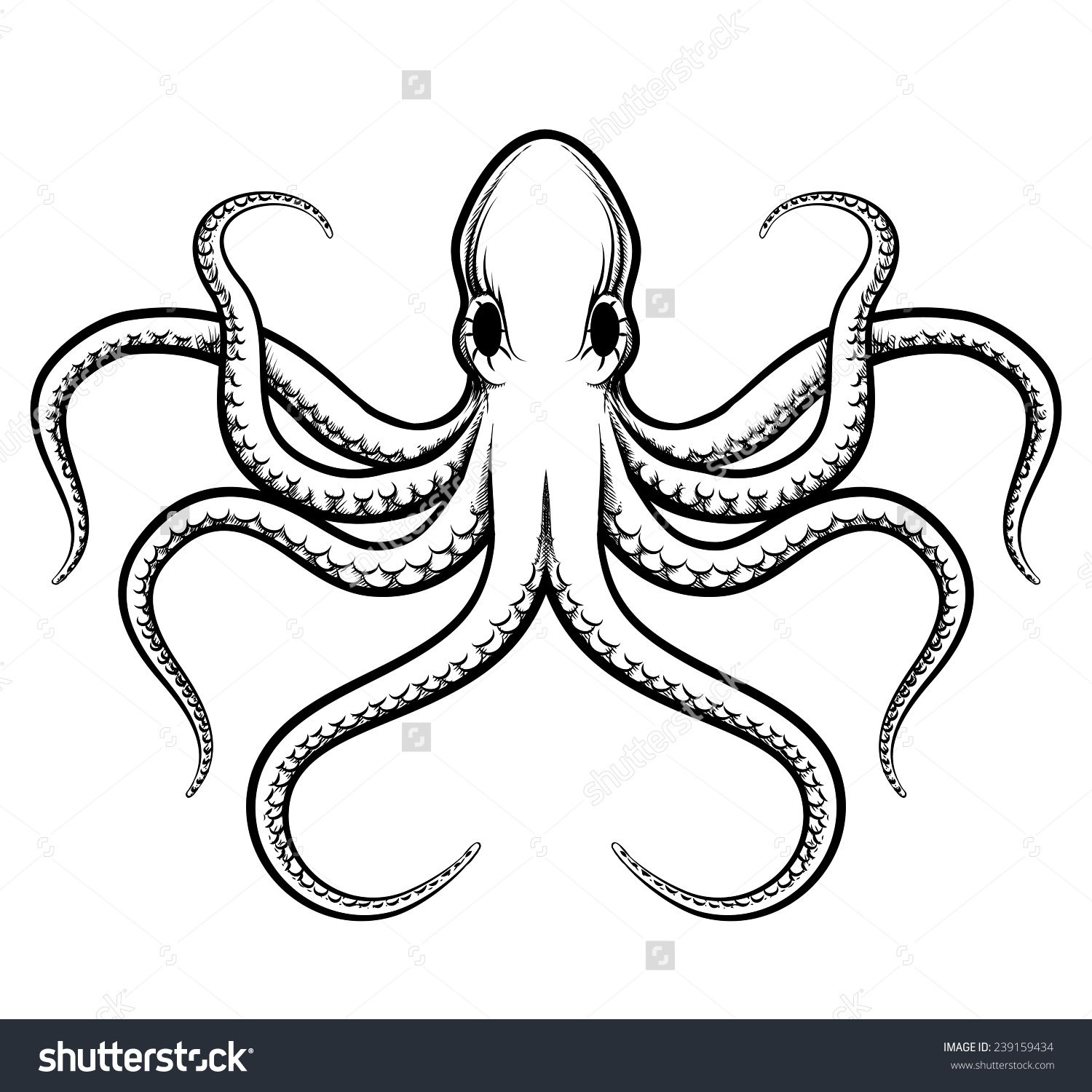 1500x1500 Just Love It! Octopus Drawing, Octopus