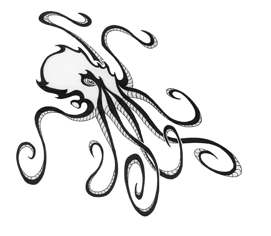 900x785 stylish octopus with thin tentacles tattoo design