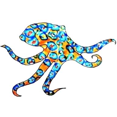 385x385 How To Draw A Realistic Octopus