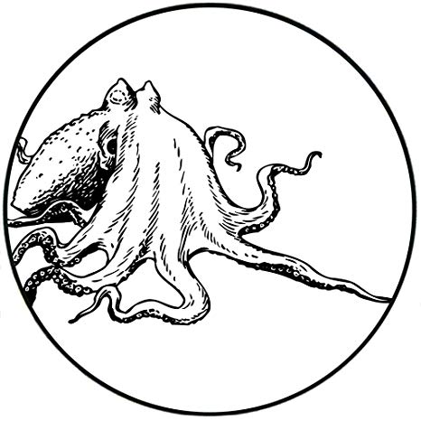 466x466 Short Plush Round Area Rug Octopus With Giant