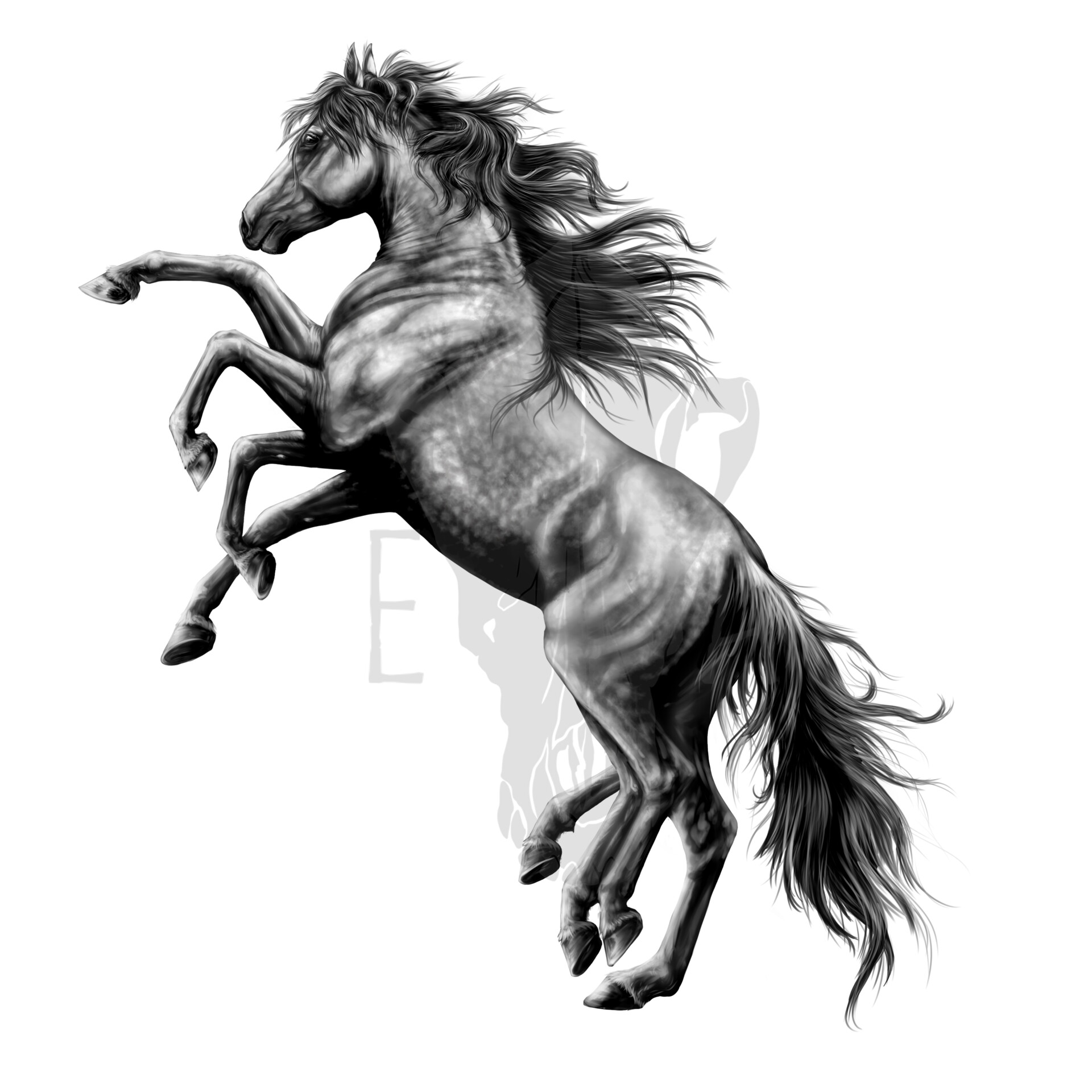 1920x1920 elizabeth armstrong