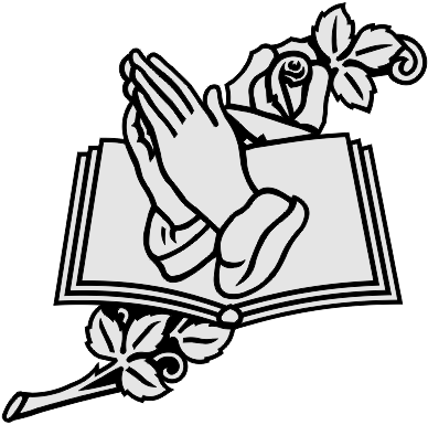 388x385 Products Tagged Rose