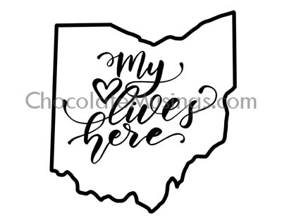 400x309 State Outline