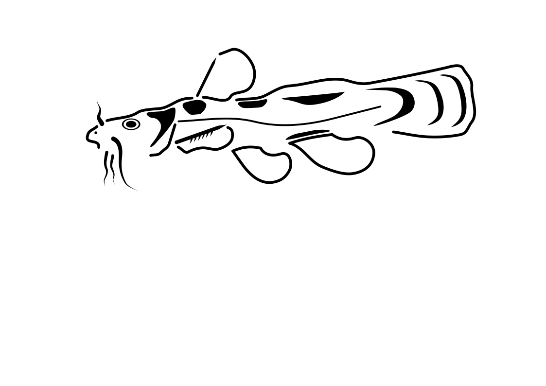 1123x794 Welcome To Ohio Biota