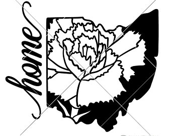 340x270 Ohio State Flower Etsy