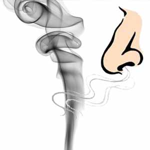 300x300 Cleaning Up Oil