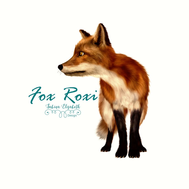 794x794 Fox Roxi Beige Acryloil Drawing Clipart Baby Child Etsy