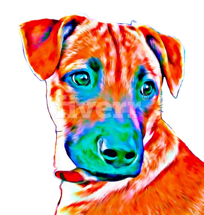 680x719 Draw On The Tablet Pet Art Portrait In Oil Painting