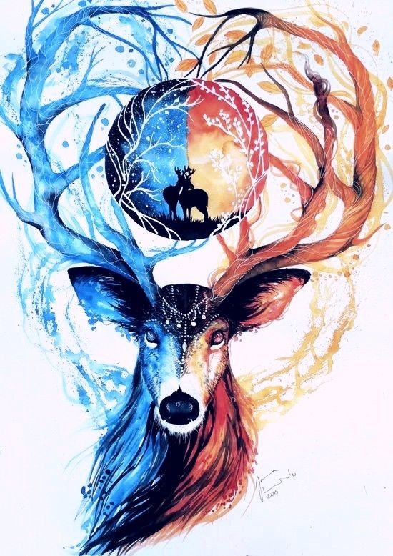 550x778 my love is the light, my soul is only darkness beautiful animal