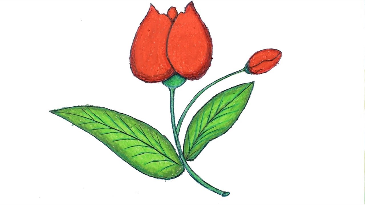 1280x720 How To Draw A Flower With Oil Pastels Step