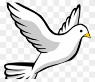 320x275 Peace Dove Clipart Catholic