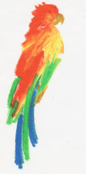 362x728 Oil Pastel Parrot Art