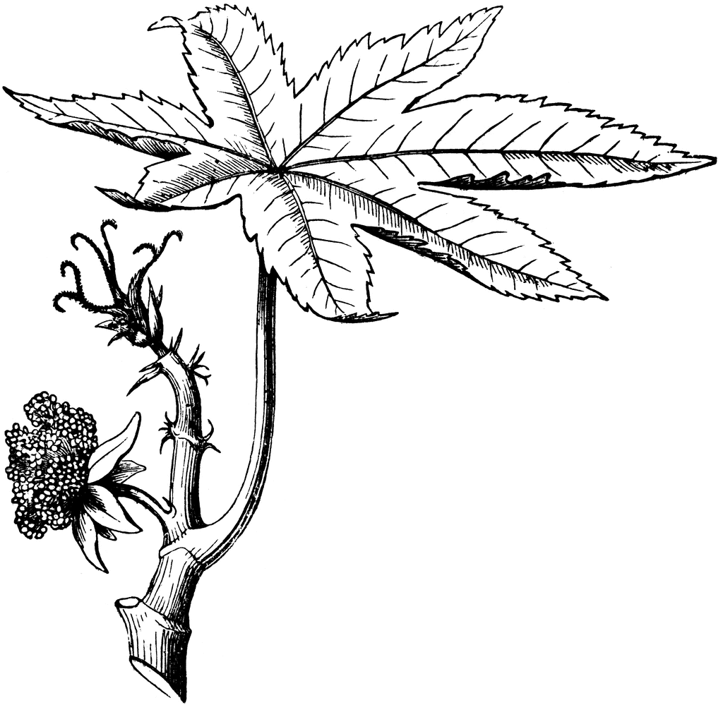 1024x999 Oil Rig Clipart Oil Plant