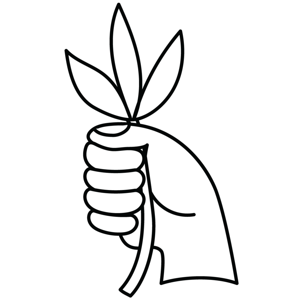 1000x1000 The Facts Berkwell