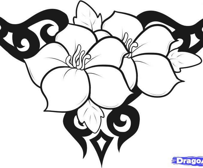 678x563 Easy Flower Designs Cool Easy Flowers To Draw Cool Simple Designs