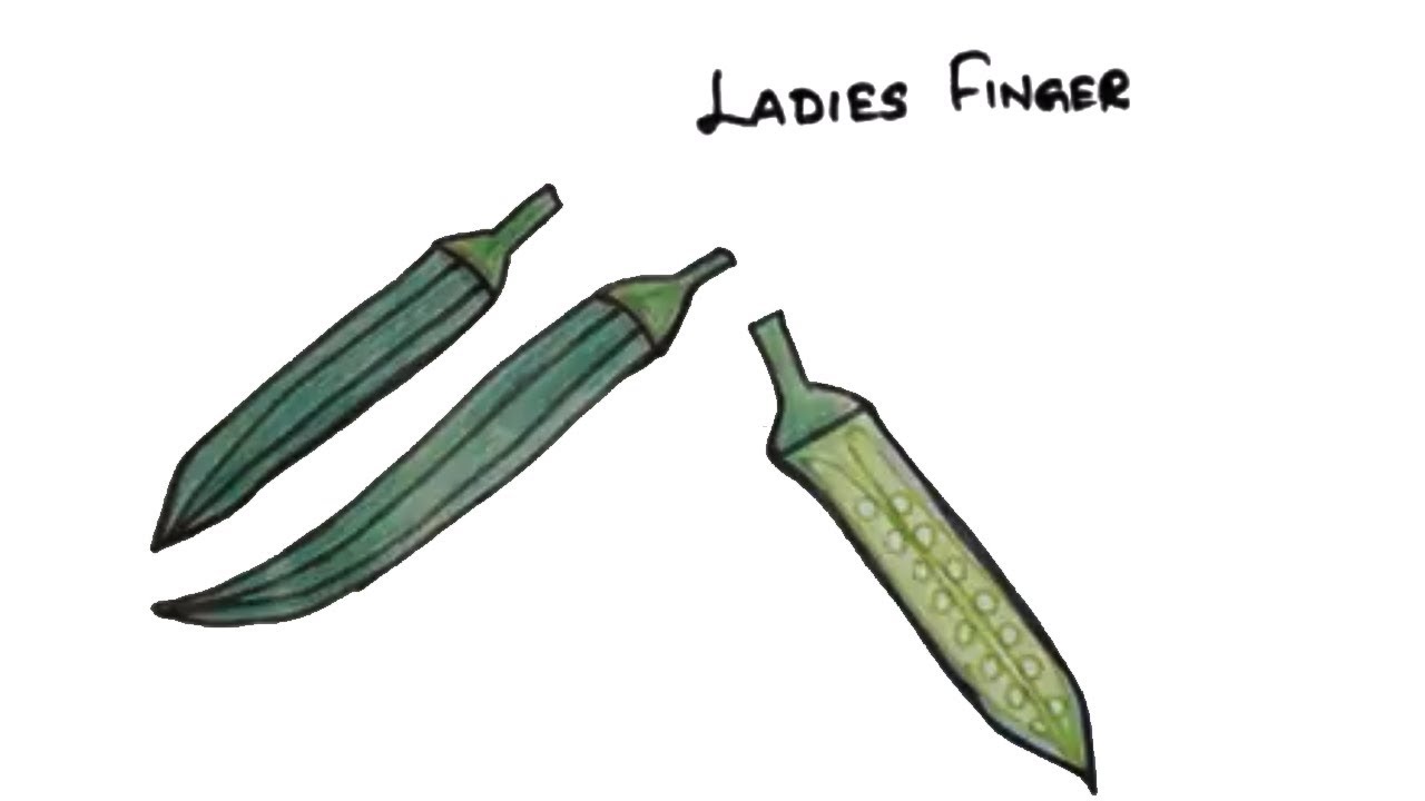 1280x720 How To Draw Lady Finger With Basic Shapes, Easy Drawing