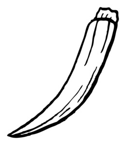 260x300 Okra, Graphics, Drawing, Transparent Png Image Clipart Free Download