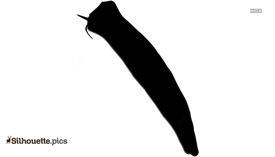 934x534 Okra Vegetable Silhouette Vector, Clipart Images, Pictures