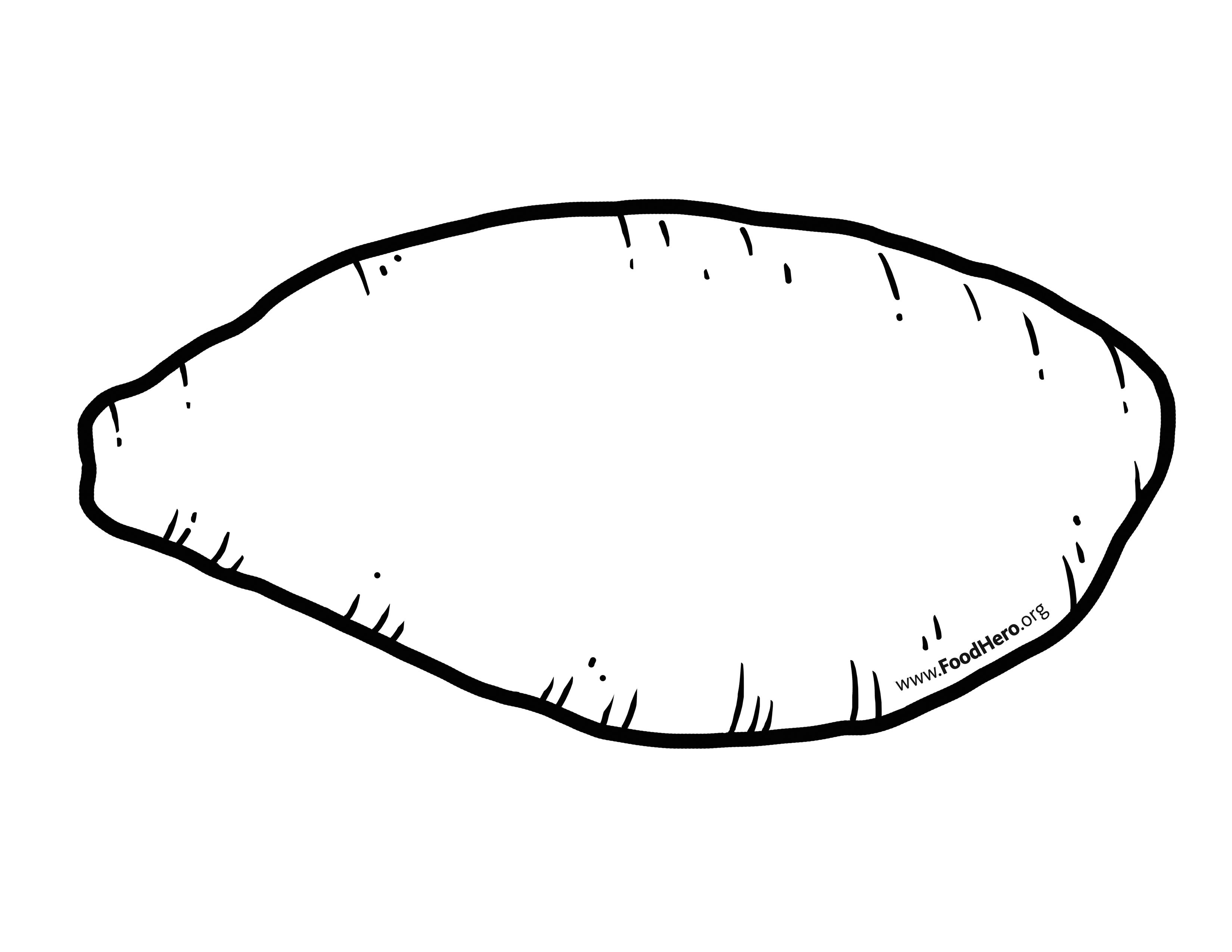 3300x2550 Sweet Potato School Illustration