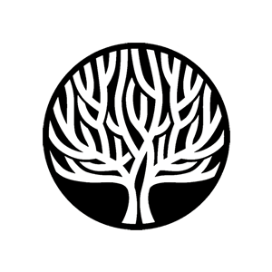 300x300 barn wood flooring and old pine floorboards