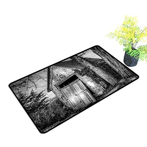 500x500 Gmnalahome Waterproof Indoor Door Mat Old Ruined