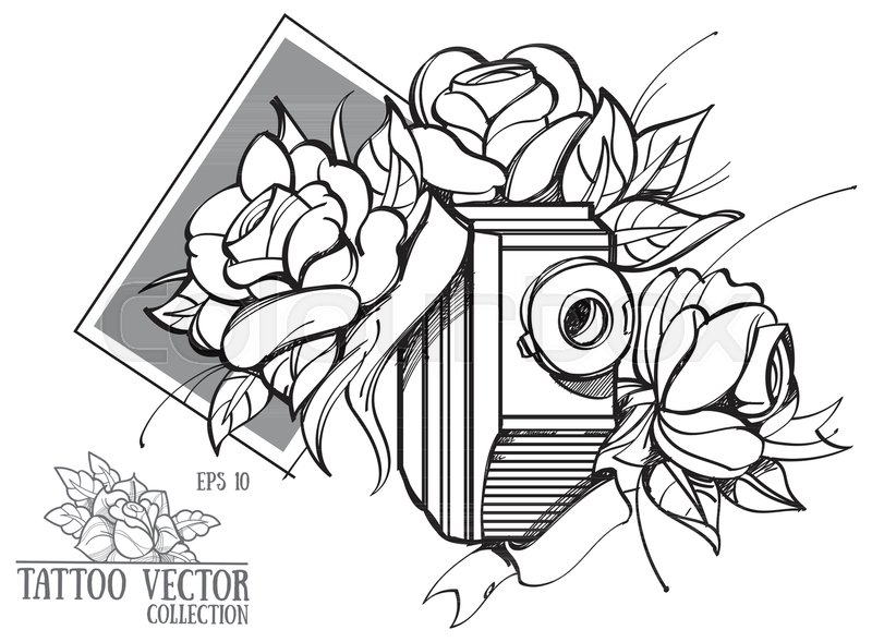800x589 Hand Drawing Flowers And An Old Stock Vector Colourbox