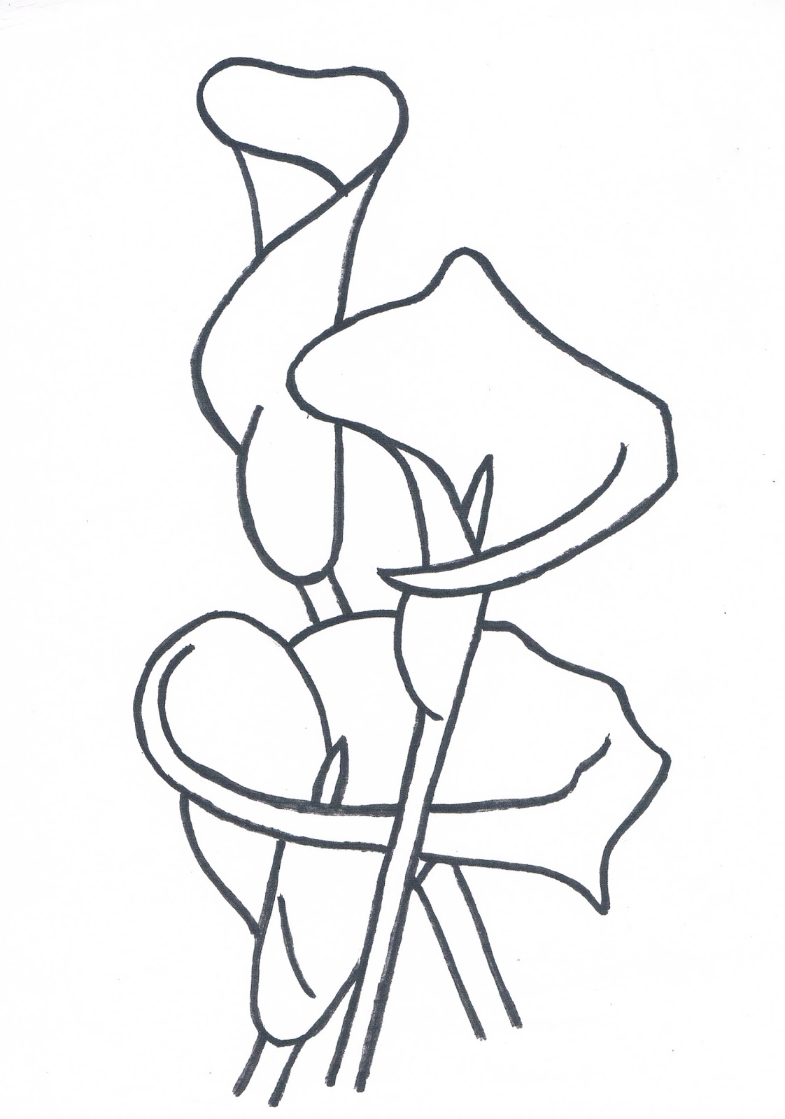 1122x1600 Old Buckenham Blog Old Buckenham Lilies