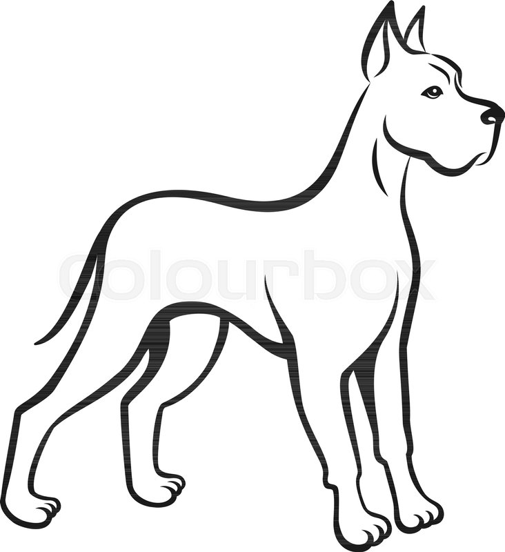 732x800 Dog Line Drawing Great Dane Can Be Stock Vector Colourbox