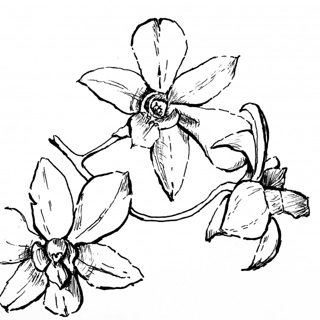 640x640 Chrissywelsh