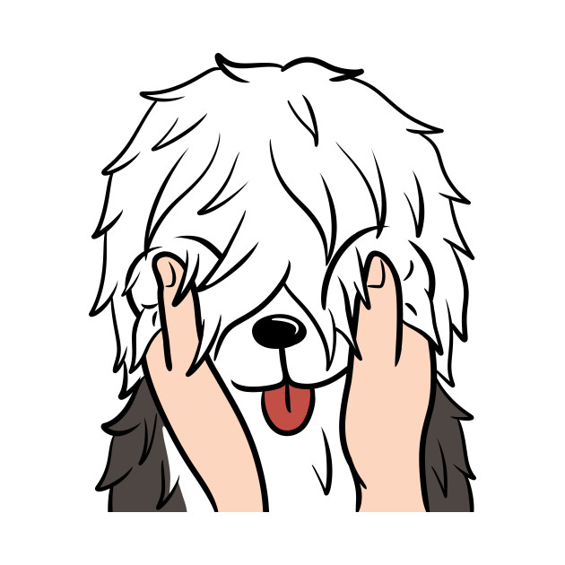 630x630 old english sheepdog chubby cheeks