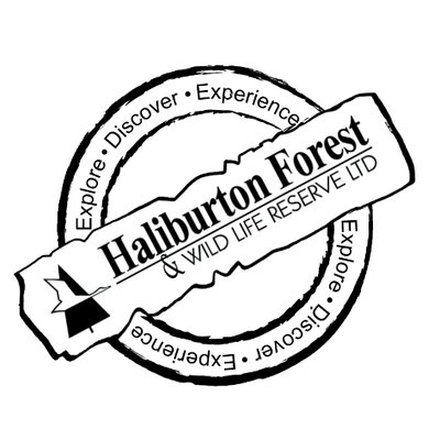 400x400 Halforest Trails On Twitter Old Man Winter Trying