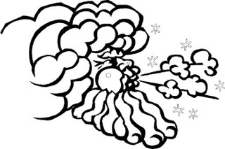 320x213 In Protest Of Pat's Picks