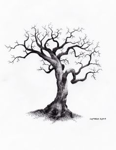 Old Oak Tree Drawing
