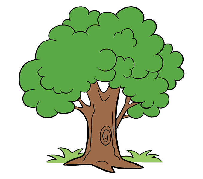 678x600 How To Draw A Cartoon Tree Easy Step