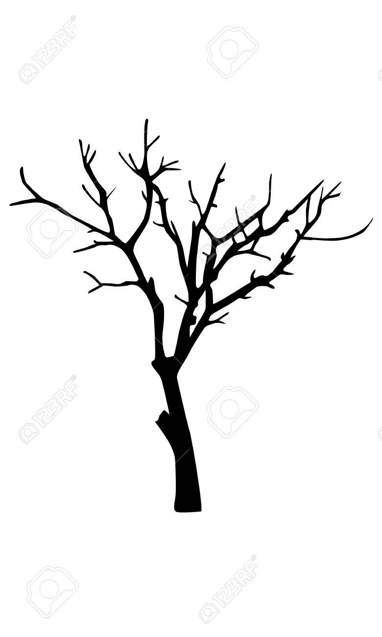 780x1300 Huge Collection Of 'old Tree Silhouette' Download More Than