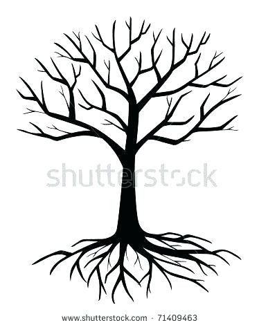 374x470 Images Of Bare Tree Drawing