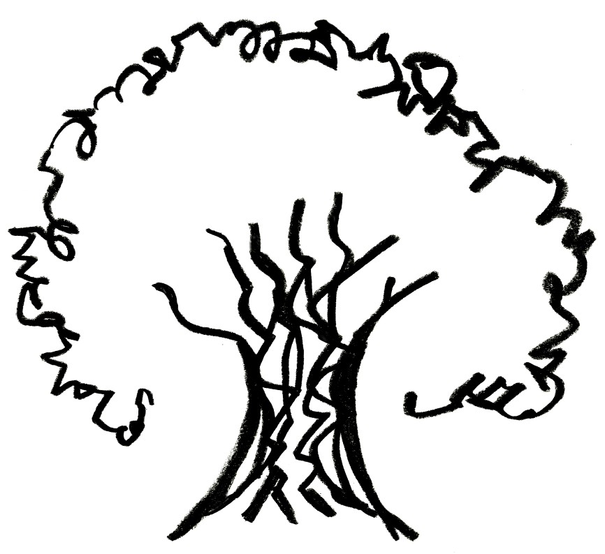 866x794 Oak Tree Sketch Clipart