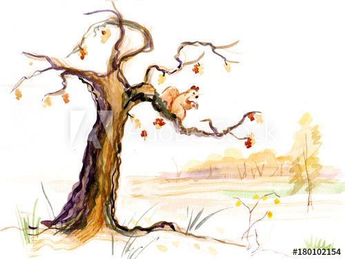 500x375 Old Oak In Fall