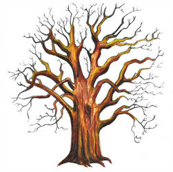 251x250 Old Oak Tree
