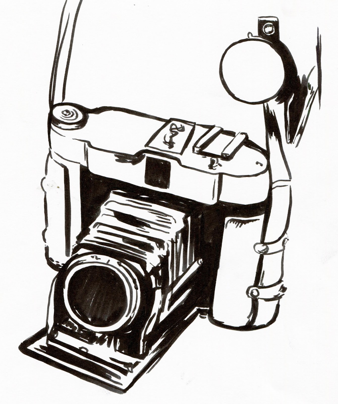 1340x1600 eva lynch illustration draw rotation palimpsest