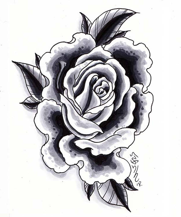 600x719 Old School Rose Attempt!